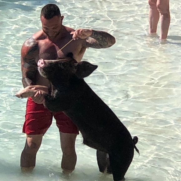 Meet your Posher, Ralph - Picture 1 of 1